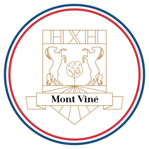 Logo Mont Viné
