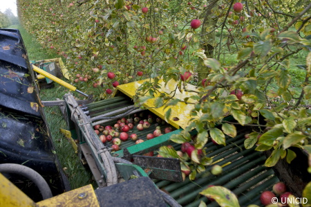 rélocte mécanique pommes à cidre