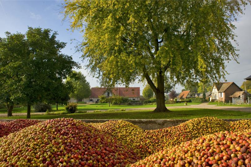 Vergers Pressoir d'Or